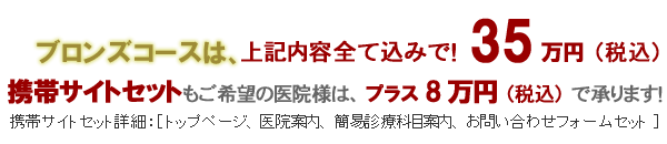 歯科パックブロンズコース35万円