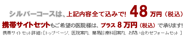 歯科パックシルバーコース48万円