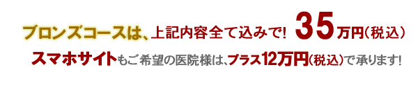 歯科パックブロンズコース35万円