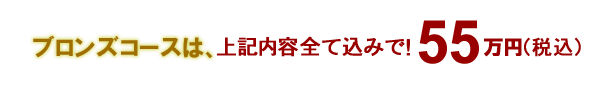 歯科パックブロンズコース35万円