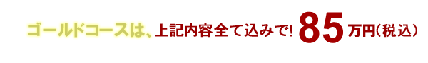 歯科パックゴールドコース60万円