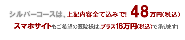 歯科パックシルバーコース48万円