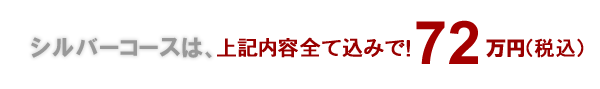 歯科パックシルバーコース48万円