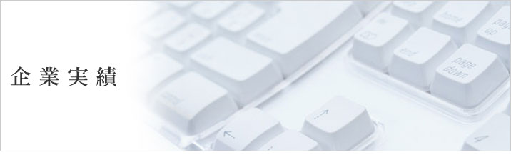 企業実績